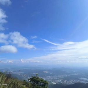 测试